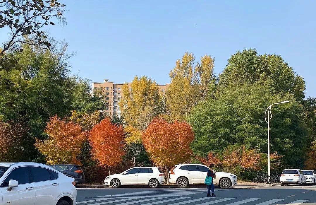 如何通过力量训练改善篮球运动员的速度和敏捷性?_2